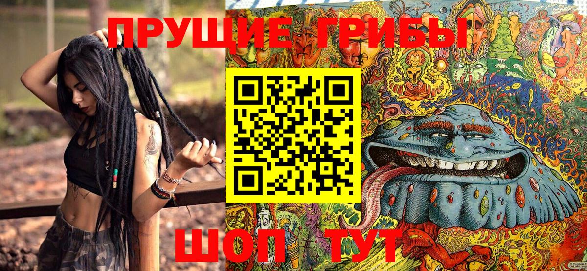 Псилоцибиновые грибы Psilocybine cubensis  Вход с VPN  Кингисепп 