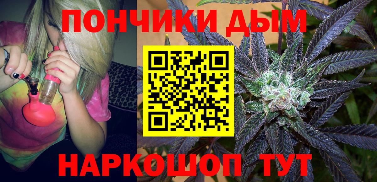 Конопля план Кингисепп